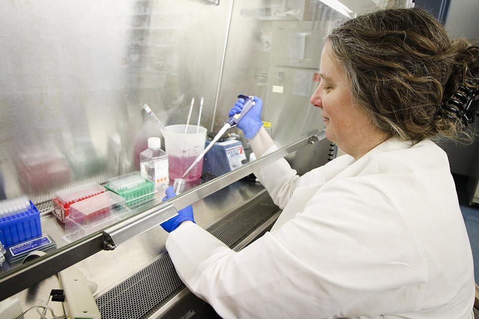 A researcher wearing a lab coat and gloves works with test tubes and vials.