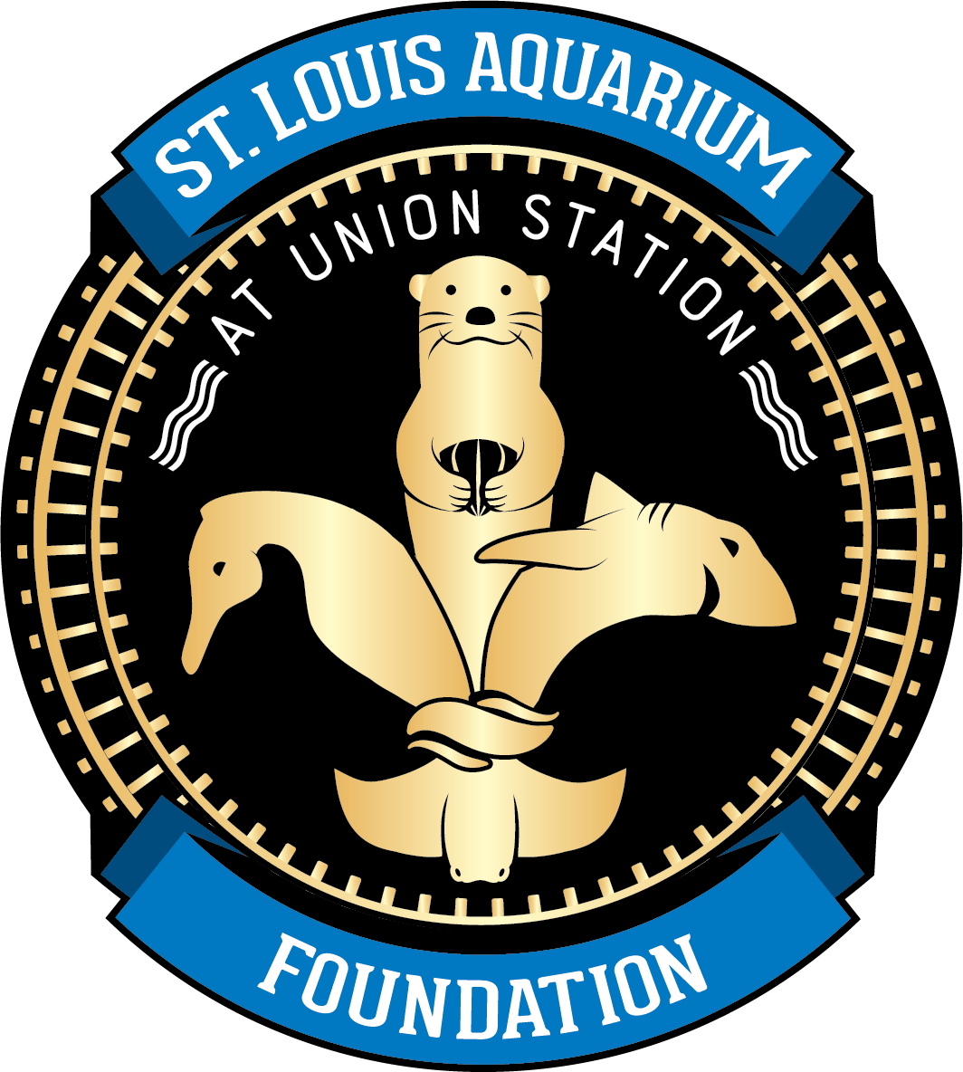 Aquarium Foundation Aquarium foundation logo